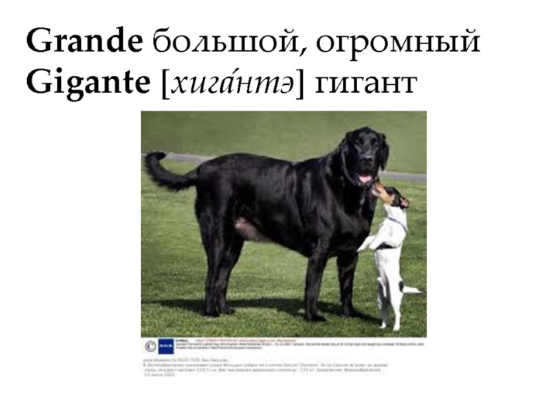 Grande большой, огромный Gigante [хига́нтэ] гигант